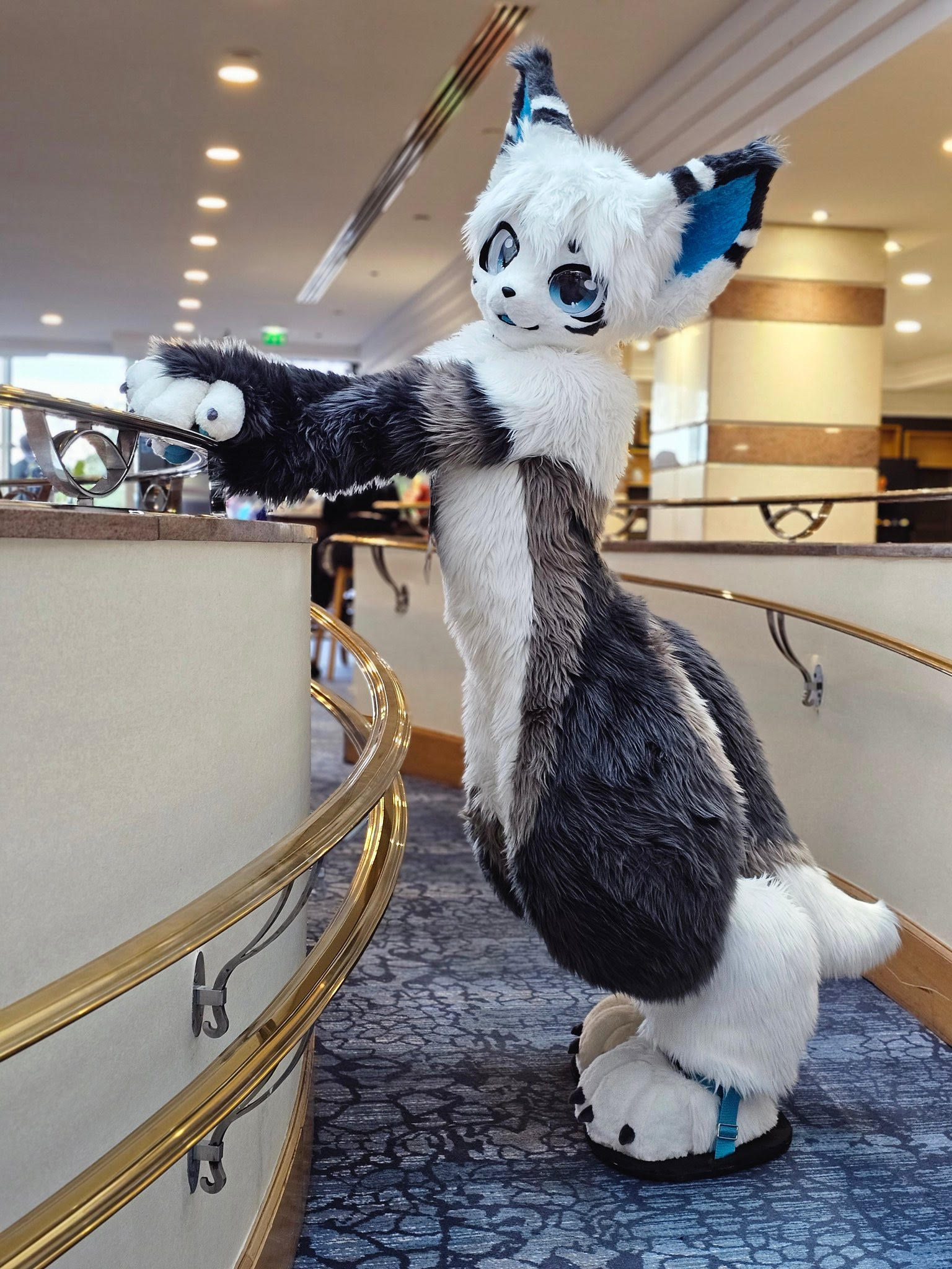 Hors Série –  La communauté des Furries