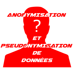 NoLimitSecu - Anonymisation de donnees - 256